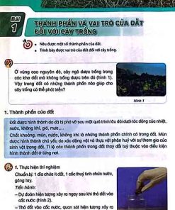Giải SGK Khoa học lớp 5 Kết nối tri thức Chủ đề 1 Bài 1 Thành phần và vai trò của đất đối với cây trồng (trang 5-8)