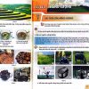 Giải SGK Khoa học lớp 5 Kết nối tri thức Chủ đề 2 Bài 7 Năng lượng (trang 27-29)