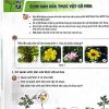 Giải SGK Khoa học lớp 5 Kết nối tri thức Chủ đề 3 Bài 13 Sinh sản của thực vật có hoa (trang 48-51)