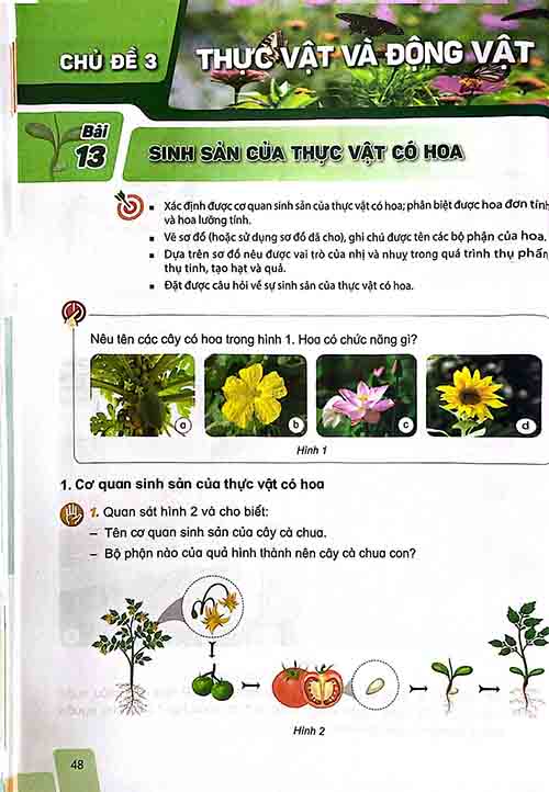 Giải SGK Khoa học lớp 5 Kết nối tri thức Chủ đề 3 Bài 13 Sinh sản của thực vật có hoa (trang 48-51)