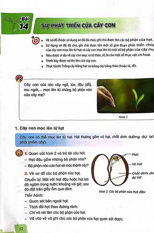Giải SGK Khoa học lớp 5 Kết nối tri thức Chủ đề 3 Bài 14 Sự phát triển của cây con (trang 48-51)