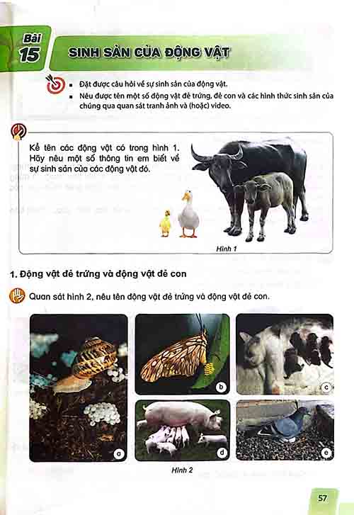 Giải SGK Khoa học lớp 5 Kết nối tri thức Chủ đề 3 Bài 15 Sinh sản của động vật (trang 57-59)