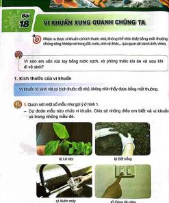 Giải SGK Khoa học lớp 5 Kết nối tri thức Chủ đề 4 Bài 18 Vi khuẩn xung quanh chúng ta (trang 66-68)