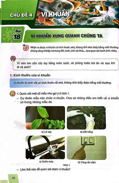 Giải SGK Khoa học lớp 5 Kết nối tri thức Chủ đề 4 Bài 18 Vi khuẩn xung quanh chúng ta (trang 66-68)