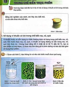 Giải SGK Khoa học lớp 5 Kết nối tri thức Chủ đề 4 Bài 19 Vi khuẩn có ích trong chế biến thực phẩm (trang 69-71)