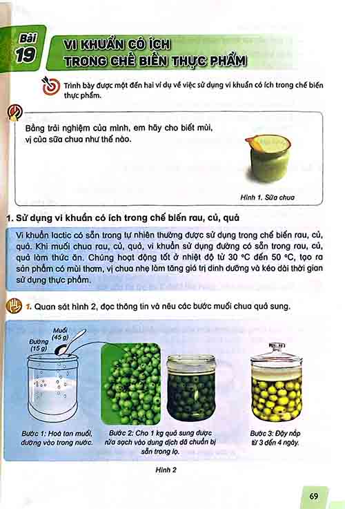 Giải SGK Khoa học lớp 5 Kết nối tri thức Chủ đề 4 Bài 19 Vi khuẩn có ích trong chế biến thực phẩm (trang 69-71)