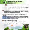 Giải SGK Khoa học lớp 5 Kết nối tri thức Chủ đề 6 Bài 28 Chức năng của môi trường đối với sinh vật (trang 100-103)