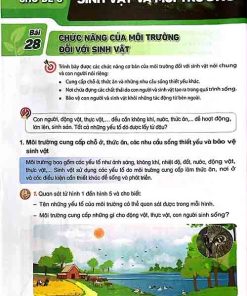 Giải SGK Khoa học lớp 5 Kết nối tri thức Chủ đề 6 Bài 28 Chức năng của môi trường đối với sinh vật (trang 100-103)