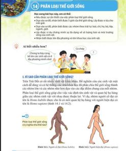 Giải SGK Khoa học tự nhiên lớp 6 Cánh diều Chủ đề 8 Bài 14: Phân loại thế giới sống (Trang 84-88)