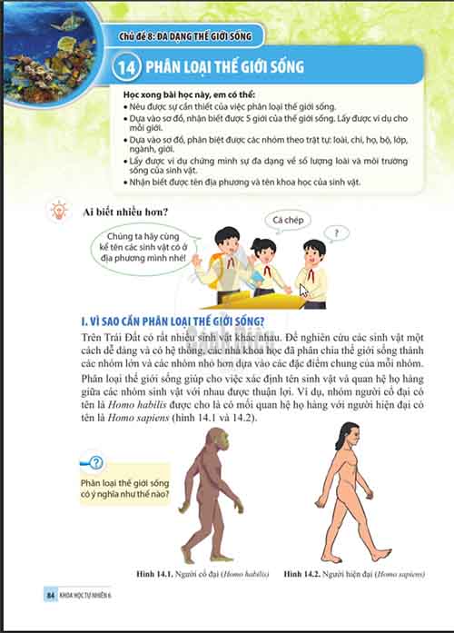 Giải SGK Khoa học tự nhiên lớp 6 Cánh diều Chủ đề 8 Bài 14: Phân loại thế giới sống (Trang 84-88)