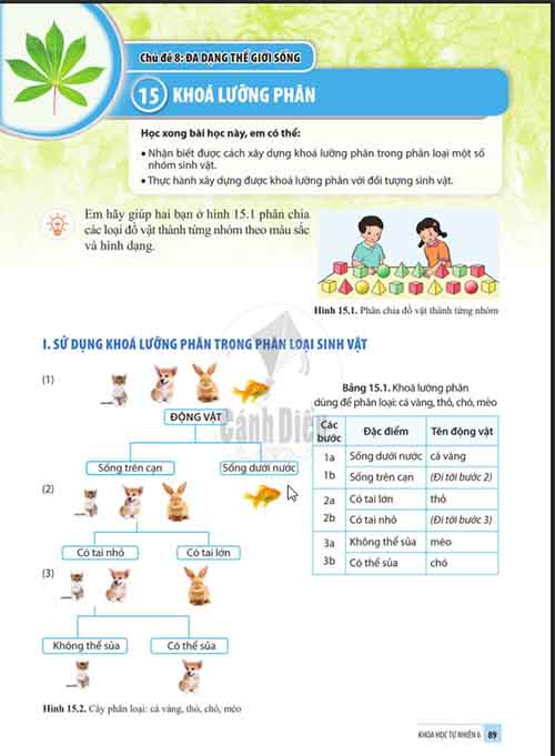 Giải SGK Khoa học tự nhiên lớp 6 Cánh diều Chủ đề 8 Bài 15: Khóa lưỡng phân (Trang 89-91)