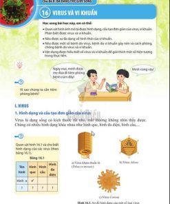 Giải SGK Khoa học tự nhiên lớp 6 Cánh diều Chủ đề 8 Bài 16: Virus và vi khuẩn (Trang 92-98)