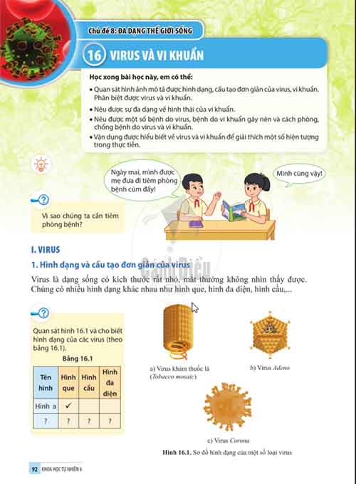 Giải SGK Khoa học tự nhiên lớp 6 Cánh diều Chủ đề 8 Bài 16: Virus và vi khuẩn (Trang 92-98)