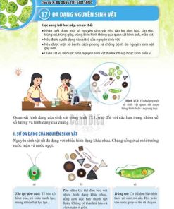 Giải SGK Khoa học tự nhiên lớp 6 Cánh diều Chủ đề 8 Bài 17: Đa dạng nguyên sinh vật (Trang 99-102)