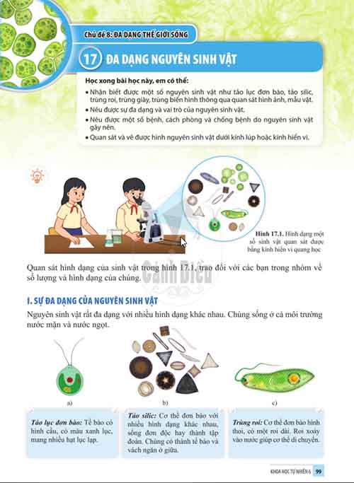 Giải SGK Khoa học tự nhiên lớp 6 Cánh diều Chủ đề 8 Bài 17: Đa dạng nguyên sinh vật (Trang 99-102)