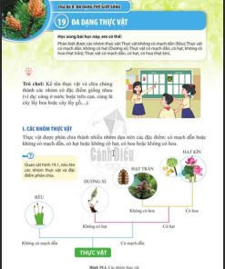 Giải SGK Khoa học tự nhiên lớp 6 Cánh diều Chủ đề 8 Bài 19: Đa dạng thực vật (Trang 106-110)