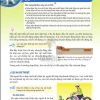 Giải SGK Khoa học tự nhiên lớp 6 Cánh diều Chủ đề 9 Bài 28: Lực ma sát (Trang 142-148)