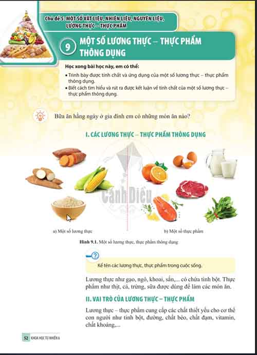 Giải SGK Khoa học tự nhiên lớp 6 Cánh diều Phần 1: Chủ đề 5: Bài 9: Một số lương thực - thực phẩm thông dụng (trang 52-54)