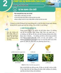 Giải SGK Khoa học tự nhiên lớp 6 Cánh diều Phần 2: Chủ đề 3: Bài 5: Sự đa dạng của chất