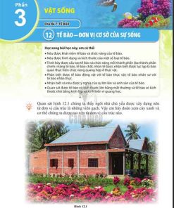 Giải SGK Khoa học tự nhiên lớp 6 Cánh diều: Phần 3: Chủ đề 7: Bài 12: Tế bào - Đơn vị cơ sở của sự sống (Trang 66-75)