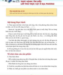 Giải SGK Lịch sử và Địa lí lớp 6 Cánh diều Phần Địa lí Bài 23 Thực hành Tìm hiểu lớp phủ thực vật ở địa phương (trang 173)