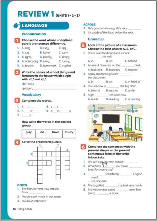 Giải SGK Tiếng Anh lớp 6 Global Success tập 1 Review 1 (Unit 1-2-3) (trang 36-75)