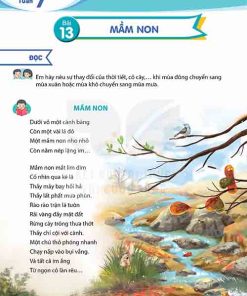 Giải SGK Tiếng Việt lớp 5 tập 1 Kết nối tri thức Bài 13: Mầm non (Trang 64-67)