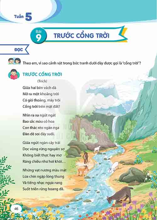 Giải SGK Tiếng Việt lớp 5 tập 1 Kết nối tri thức Bài 9: Trước cổng trời (Trang 46-50)