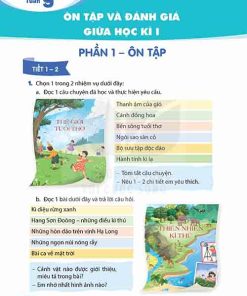 Giải SGK Tiếng Việt lớp 5 tập 1 Kết nối tri thức Ôn tập Giữa học kì I Tiết 1-5 (Trang 80-84)