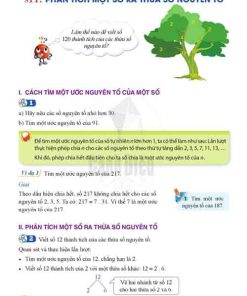 Giải SGK Toán lớp 6 Cánh diều Chương 1 Bài 11: Phân tích một số ra thừa số nguyên tố (trang 44-46)
