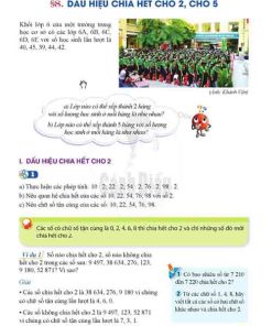 Giải SGK Toán lớp 6 Cánh diều Chương 1 Bài 8: Dấu hiệu chia hết cho 2 cho 5 (trang 35-37)
