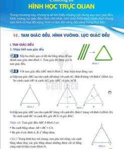 Giải SGK Toán lớp 6 Cánh diều Chương III Bài 1: Tam giác đều - Hình vuông - Lục giác đều (trang 93-97)