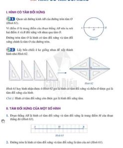 Giải SGK Toán lớp 6 Cánh diều Chương III Bài 6: Hình có tâm đối xứng (trang 111-110)