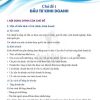 Giải SGK Toán lớp 6 Cánh diều Hoạt động thực hành và trải nghiệm Chủ đề 1: Đầu tư kinh doanh (trang 89-92)