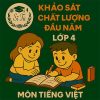 đề thi khảo sát chất lượng đầu năm lớp 4 môn Tiếng Việt Kết nối tri thức