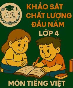 đề thi khảo sát chất lượng đầu năm lớp 4 môn Tiếng Việt Kết nối tri thức