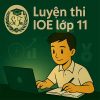 Bộ đề luyện thi IOE lớp 11 vòng cấp trường