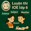 Bộ đề luyện thi IOE lớp 6 vòng cấp tỉnh/thành phố