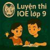 Bộ đề luyện thi IOE lớp 9 vòng cấp tỉnh thành phố