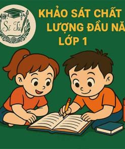 Đề thi khảo sát chất lượng đầu năm lớp 1 môn Toán