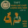 Đề thi khảo sát chất lượng đầu năm lớp 10 môn Ngữ văn Cánh diều