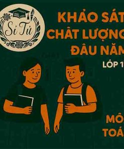 Đề thi khảo sát chất lượng đầu năm lớp 11 môn Toán Cánh diều