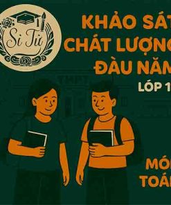 Đề thi khảo sát chất lượng đầu năm lớp 11 môn Toán Chân trời sáng tạo