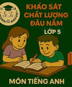 Đề thi khảo sát chất lượng đầu năm lớp 5 môn Tiếng Anh