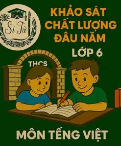 Đề thi khảo sát chất lượng đầu năm lớp 6 môn Tiếng Việt Cánh diều