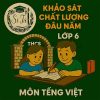 Đề thi khảo sát chất lượng đầu năm lớp 6 môn Tiếng Việt Chân trời sáng tạo