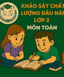 đề thi khảo sát chất lượng đầu năm lớp 3 môn Toán Chân trời sáng tạo