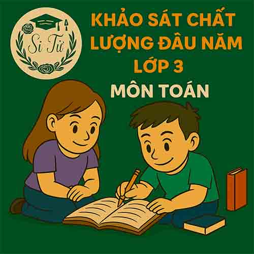đề thi khảo sát chất lượng đầu năm lớp 3 môn Toán Chân trời sáng tạo