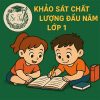 đề thi khảo sát chất lượng đầu năm lớp 1 môn Toán