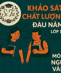 đề thi khảo sát chất lượng đầu năm lớp 11 môn Ngữ văn Kết nối tri thức